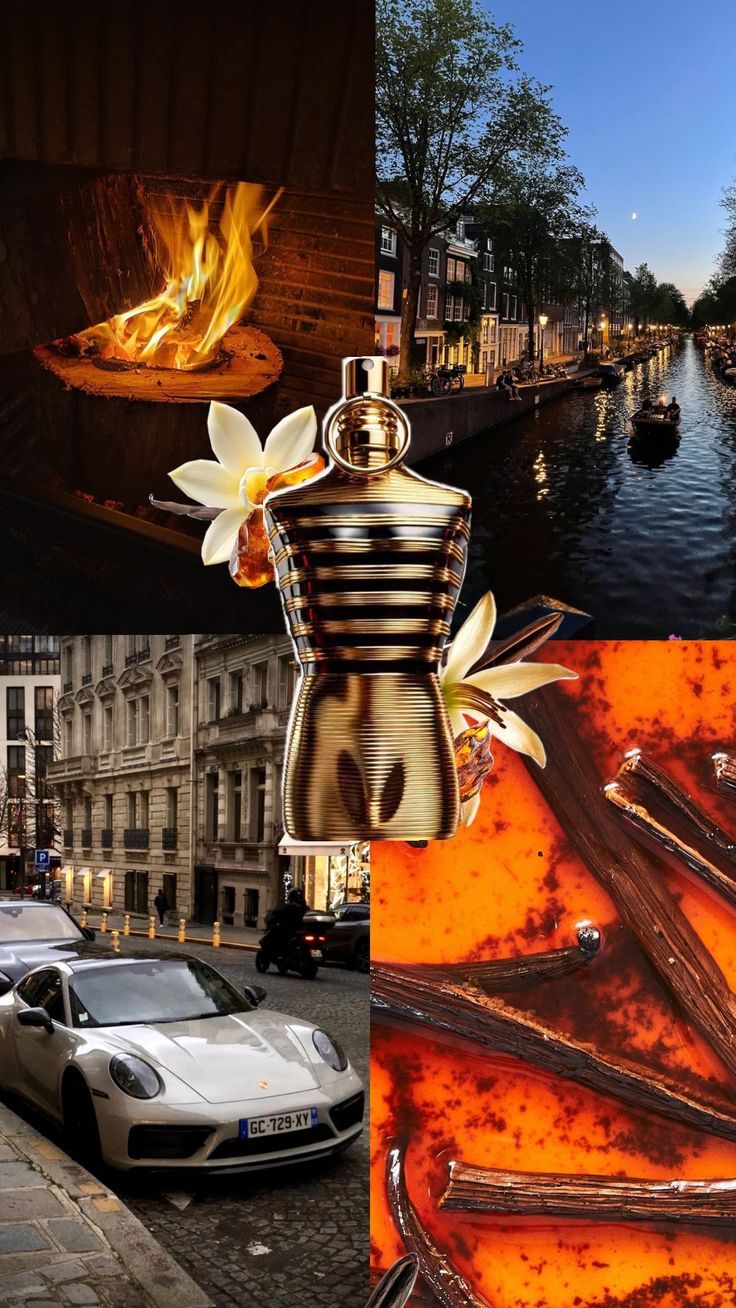Le Male Elixir